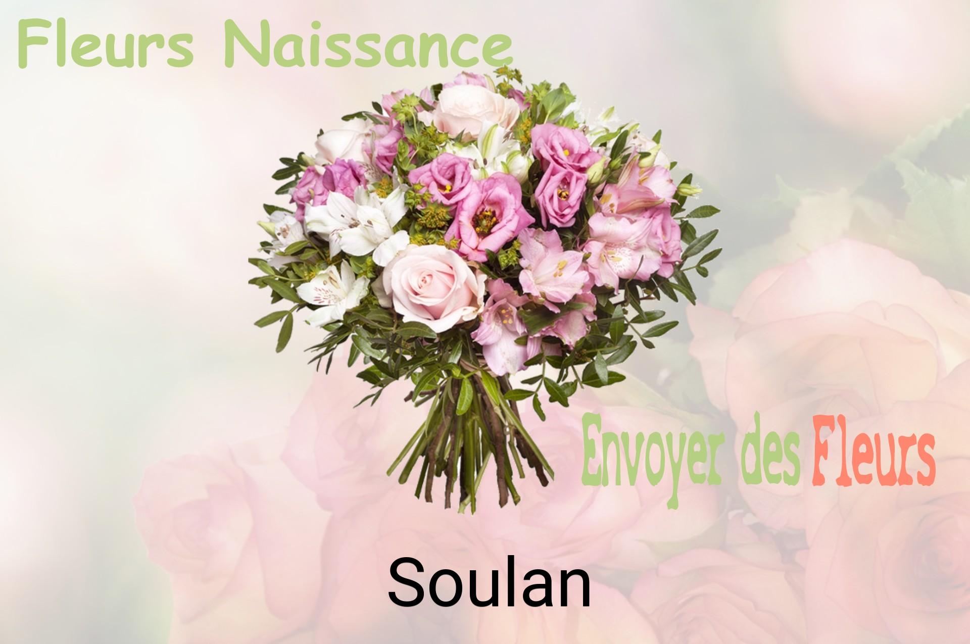 Bouquet de fleurs de naissance livré à Soulan
